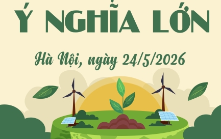 ĐOÀN THANH NIÊN CHI ĐOÀN CƠ QUAN CÔNG TY THỰC HIỆN CHƯƠNG TRÌNH “CHỦ NHẬT XANH”